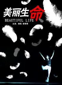 我的白秘书